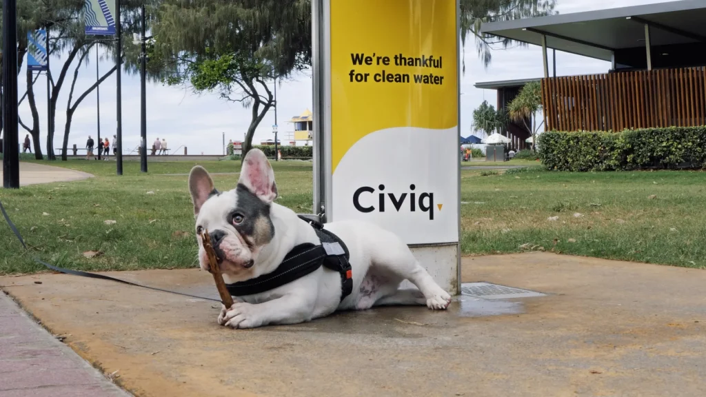An image of a dog lying besides of Civiq Drinking Water Station